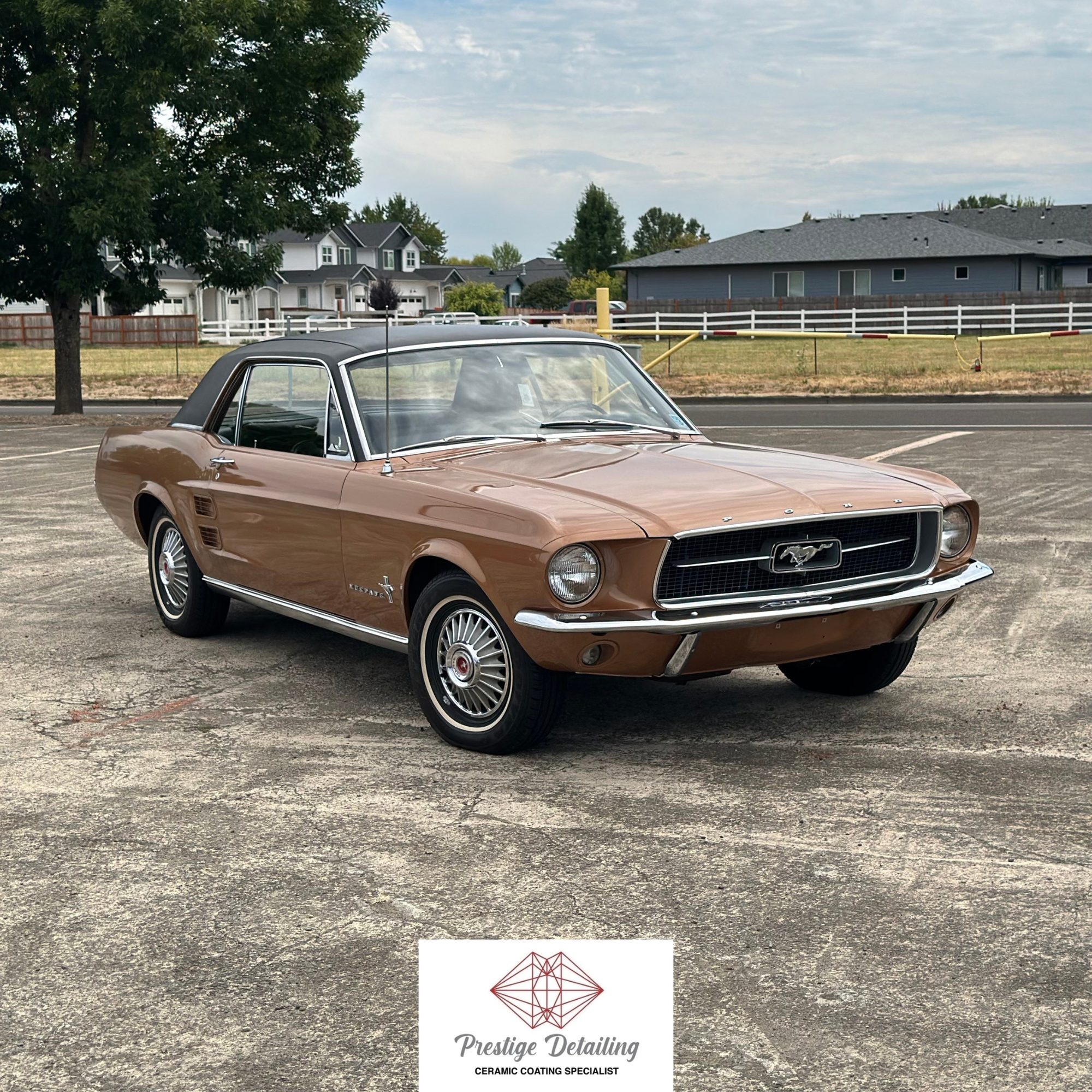 1967 Ford Mustang