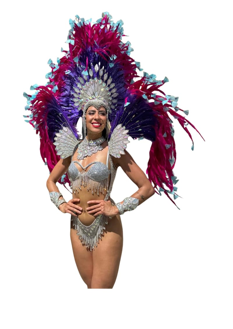 Choix des intervenants samba