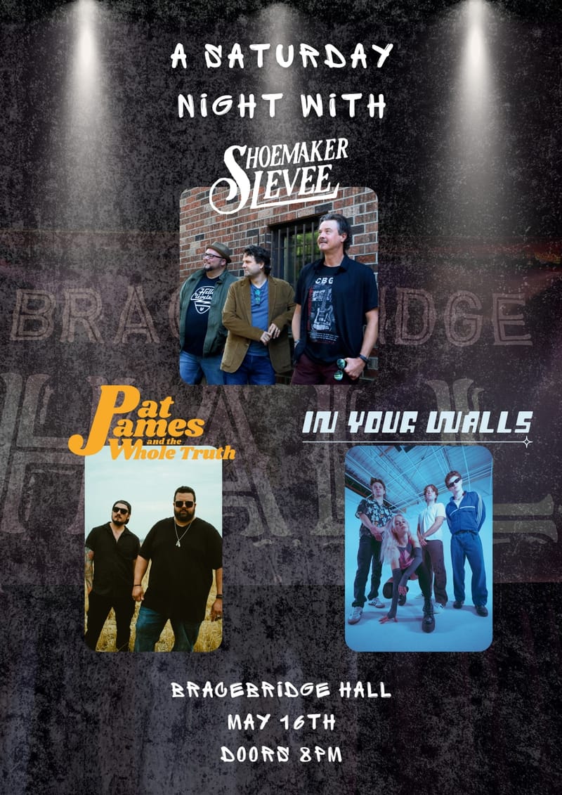 Shoemaker Levee with In Your Walls & Pat James and the Whole Truth