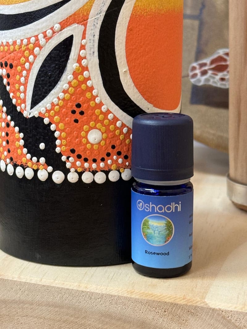 聲頻療癒課程~單元三