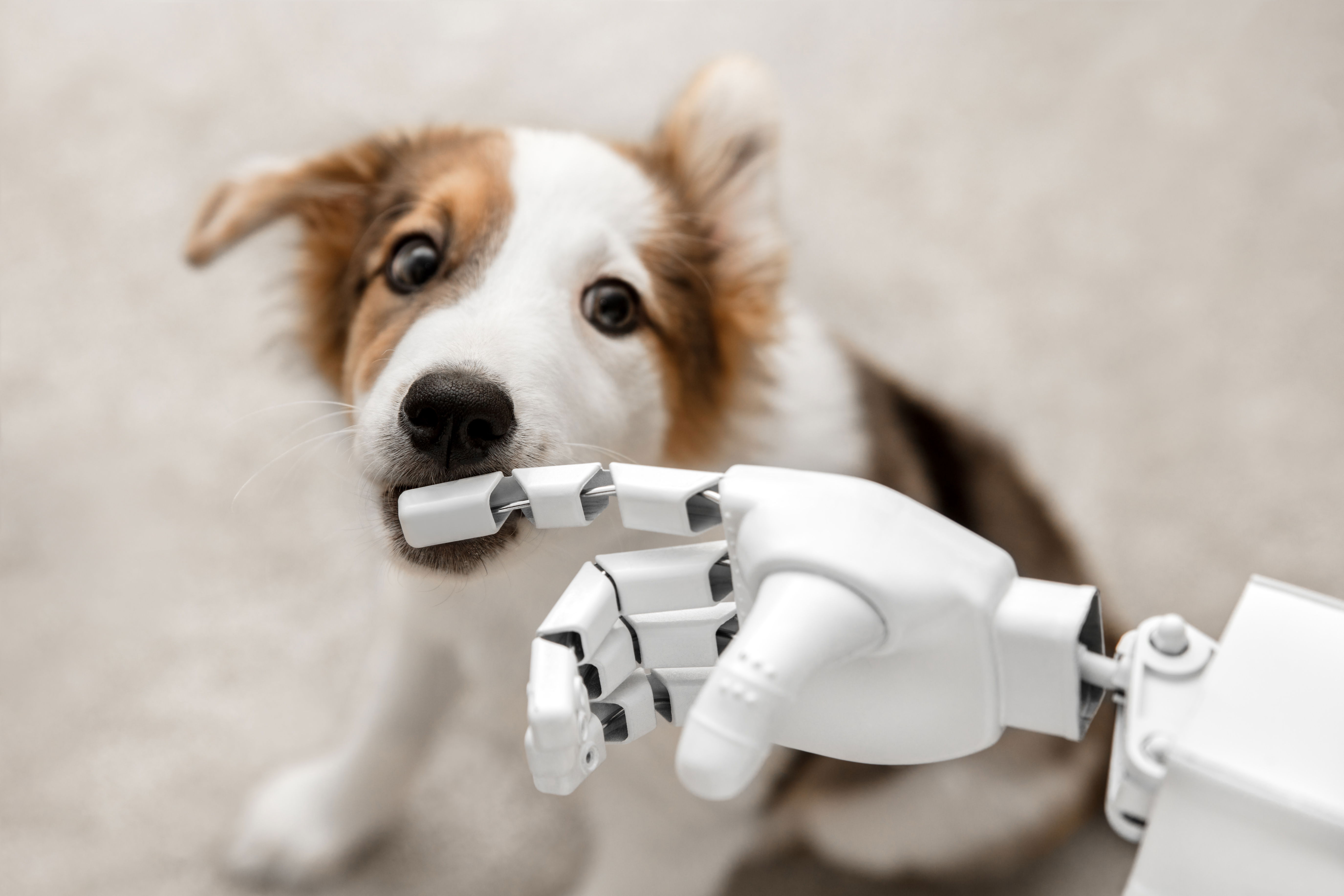 AI Ethics: Walking the Boulevard of Innovation and Responsibility