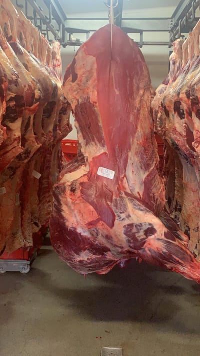beef carcasses image