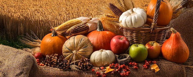 Seasonal Services
