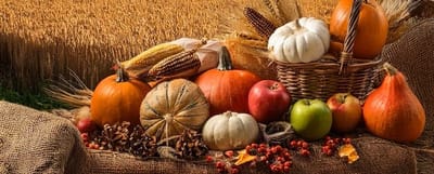 Seasonal Services