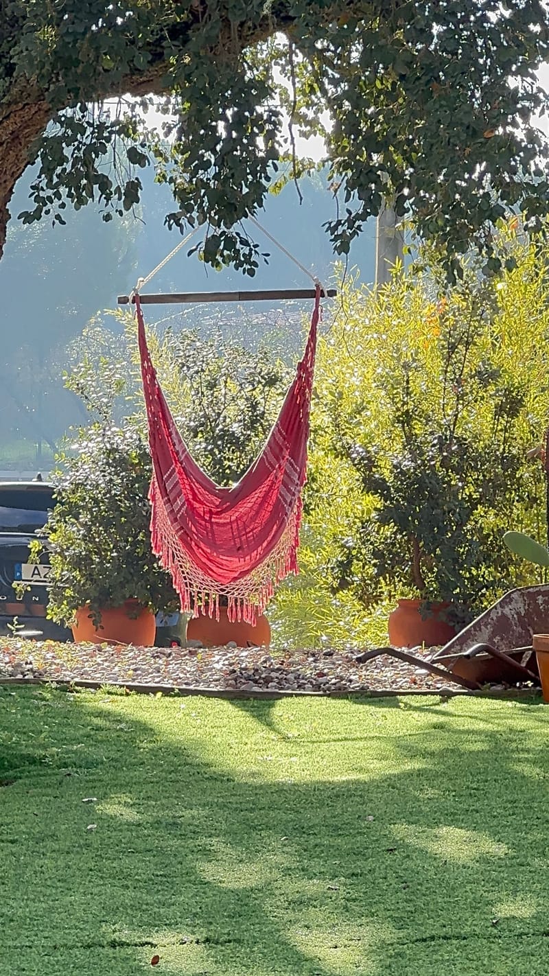 O Monte
