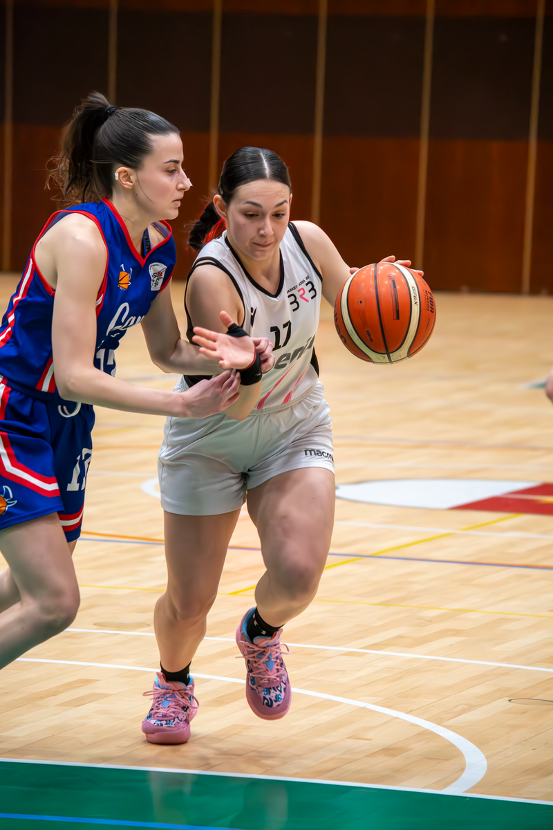 Basket - Basket Rosa Bz