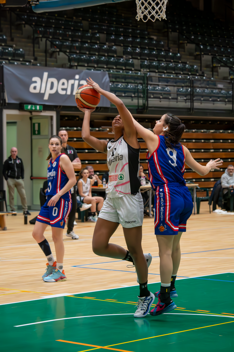 Basket - Basket Rosa Bz