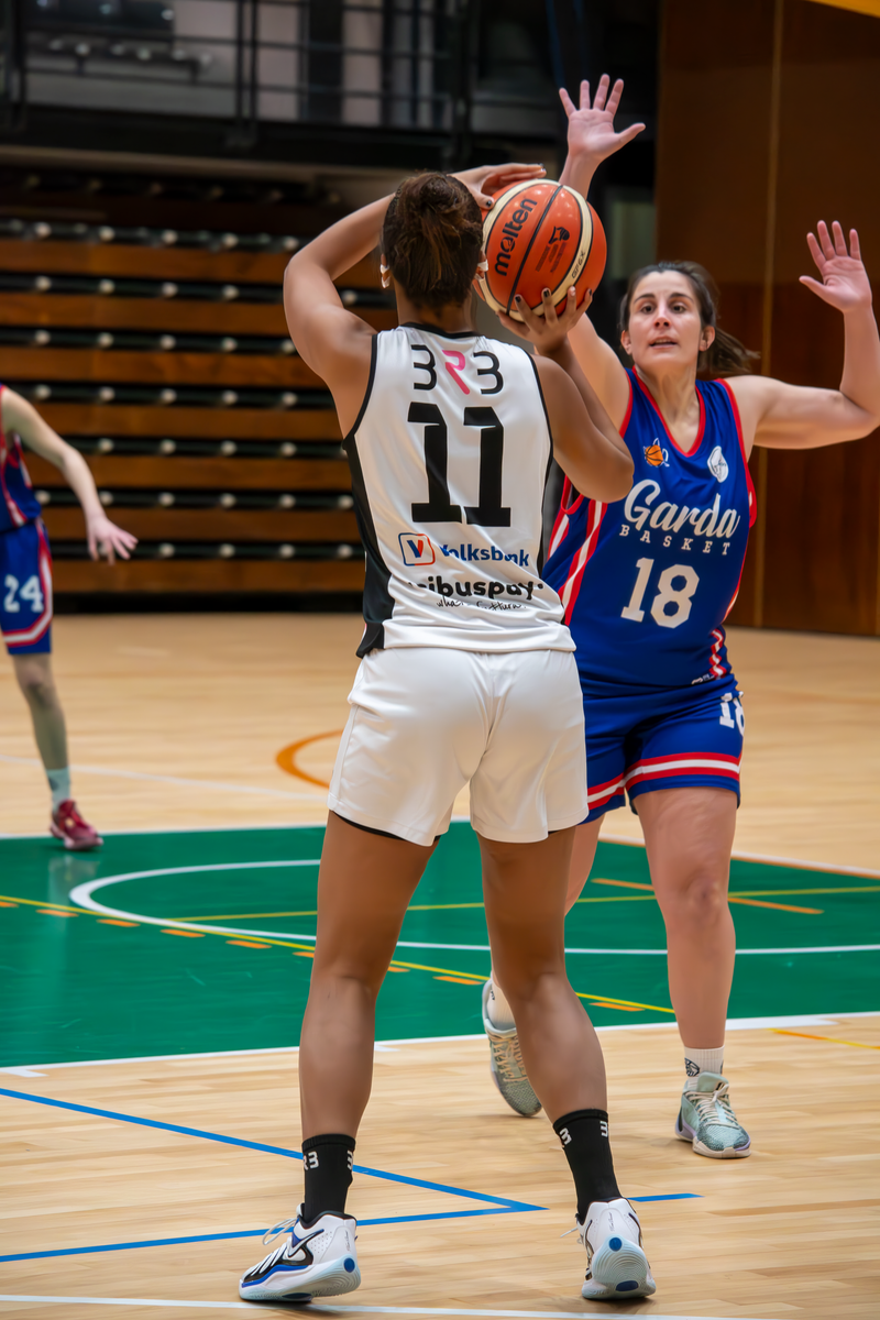 Basket - Basket Rosa Bz