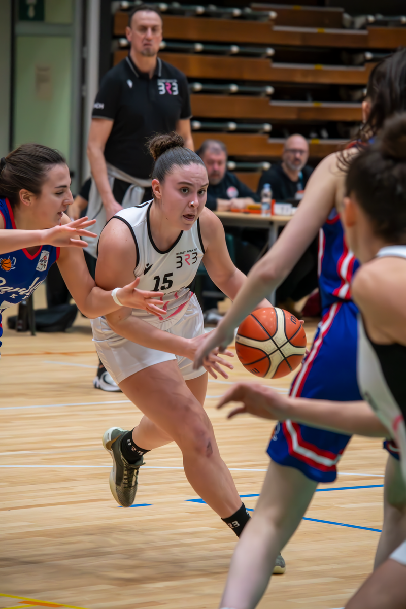 Basket - Basket Rosa Bz