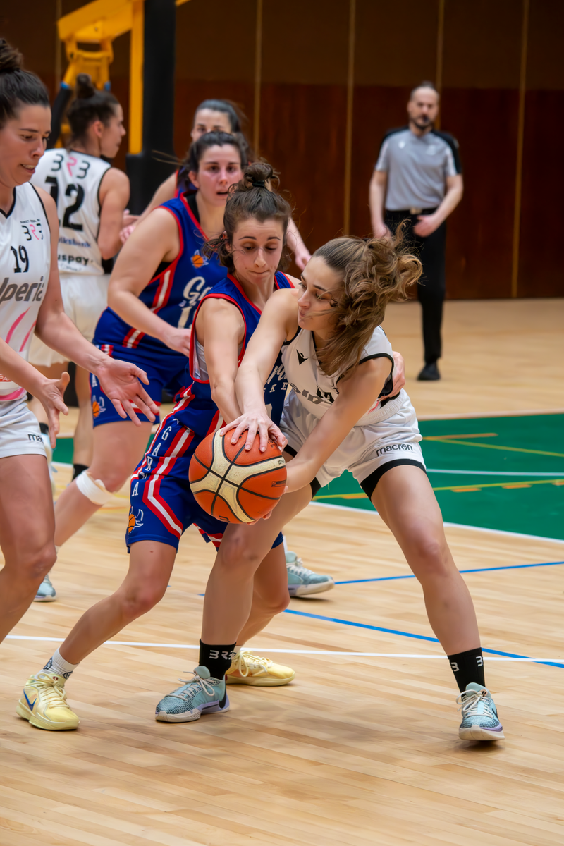 Basket - Basket Rosa Bz