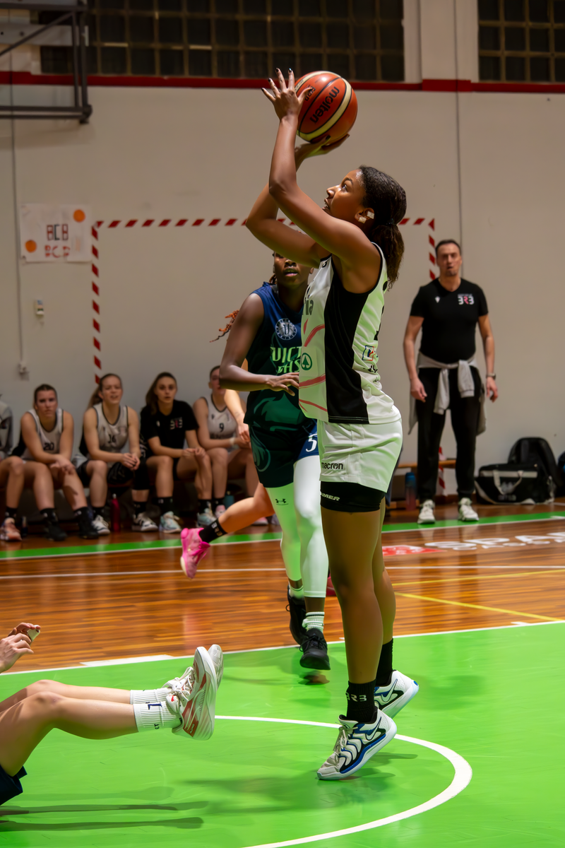 Basket - Basket Rosa Bz