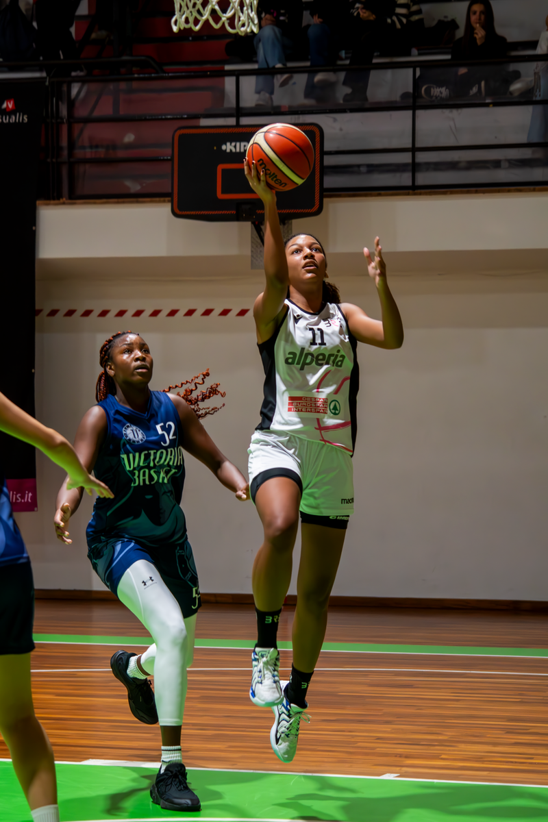 Basket - Basket Rosa Bz