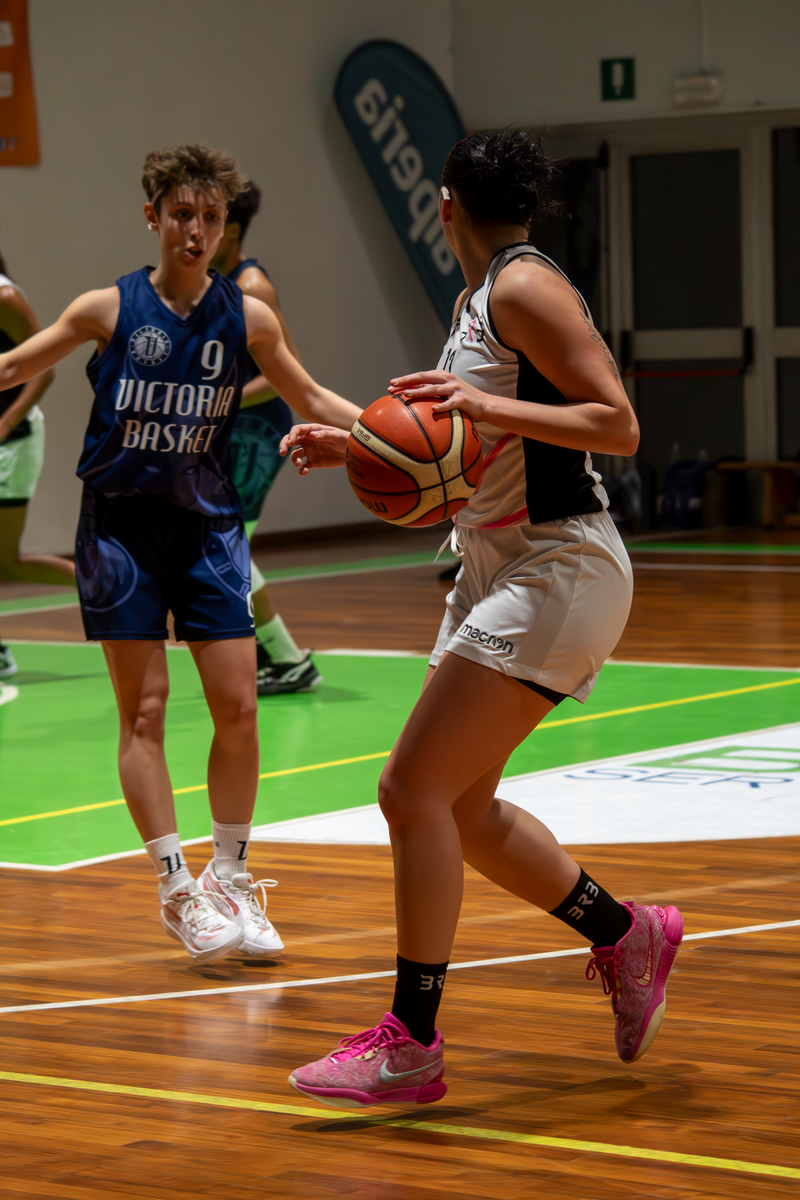 Basket - Basket Rosa Bz