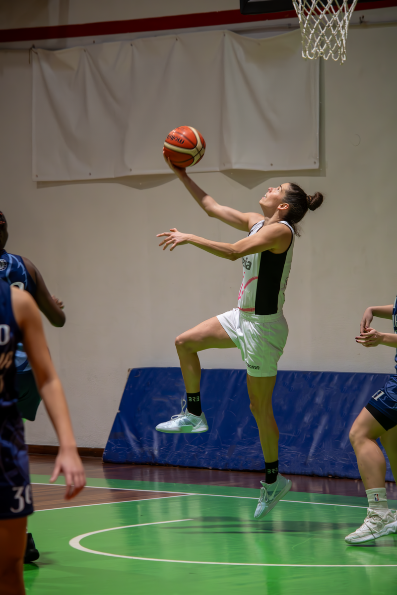 Basket - Basket Rosa Bz