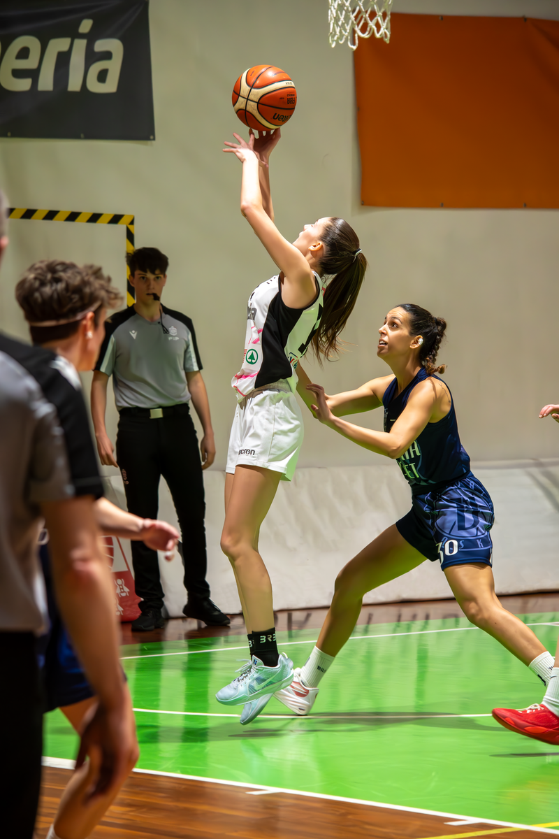 Basket - Basket Rosa Bz