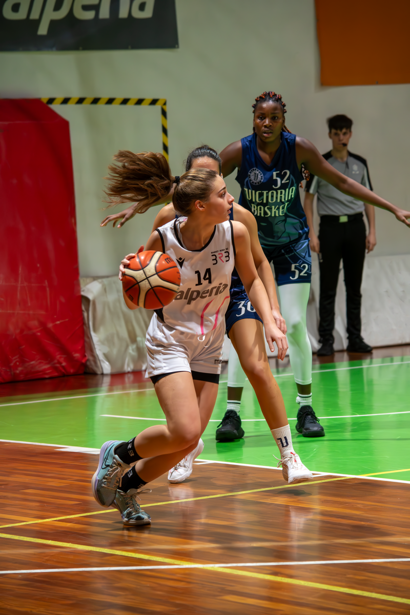 Basket - Basket Rosa Bz