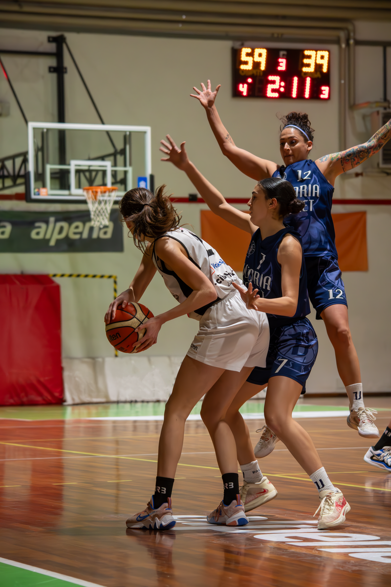 Basket - Basket Rosa Bz