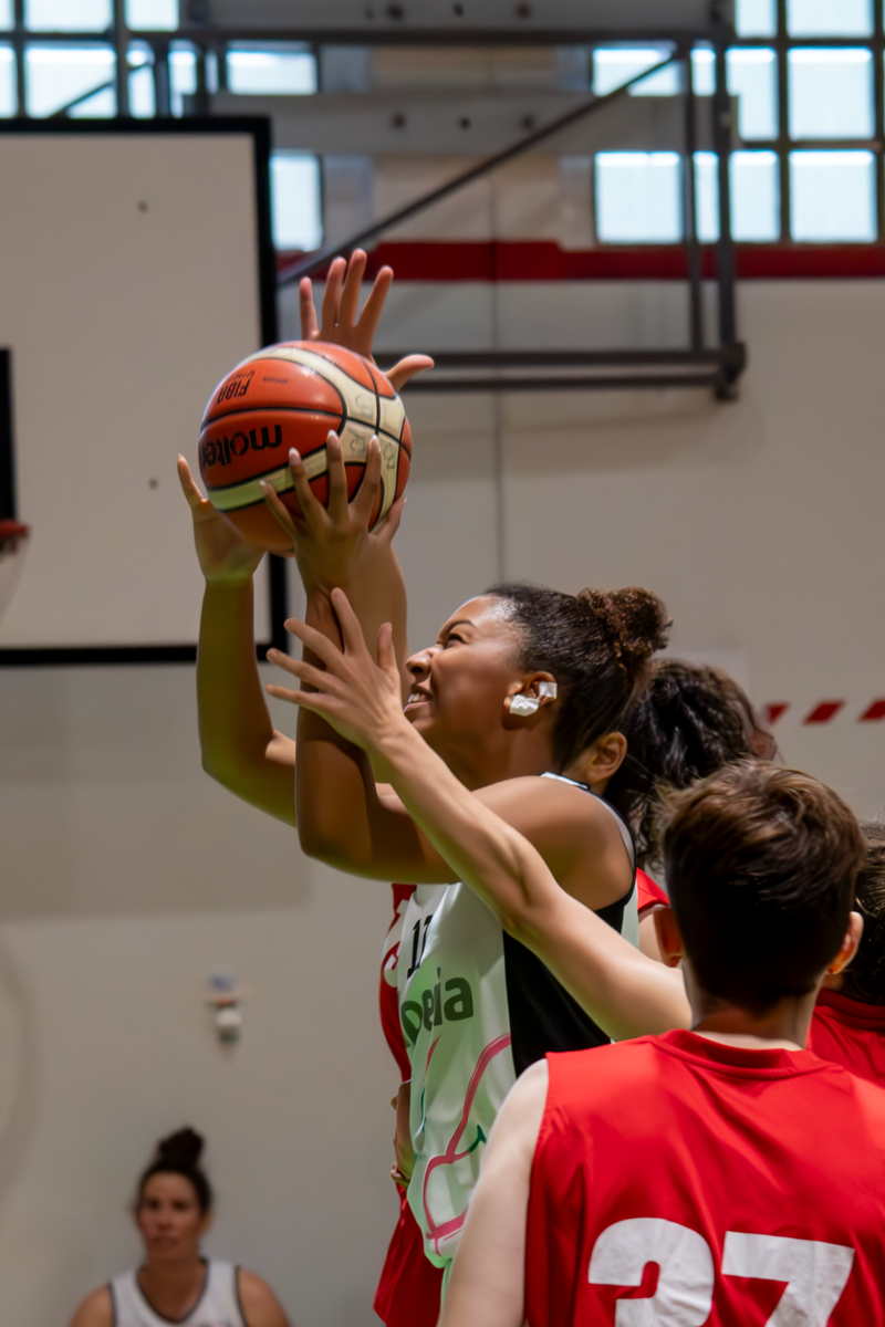 Basket - Basket Rosa Bz