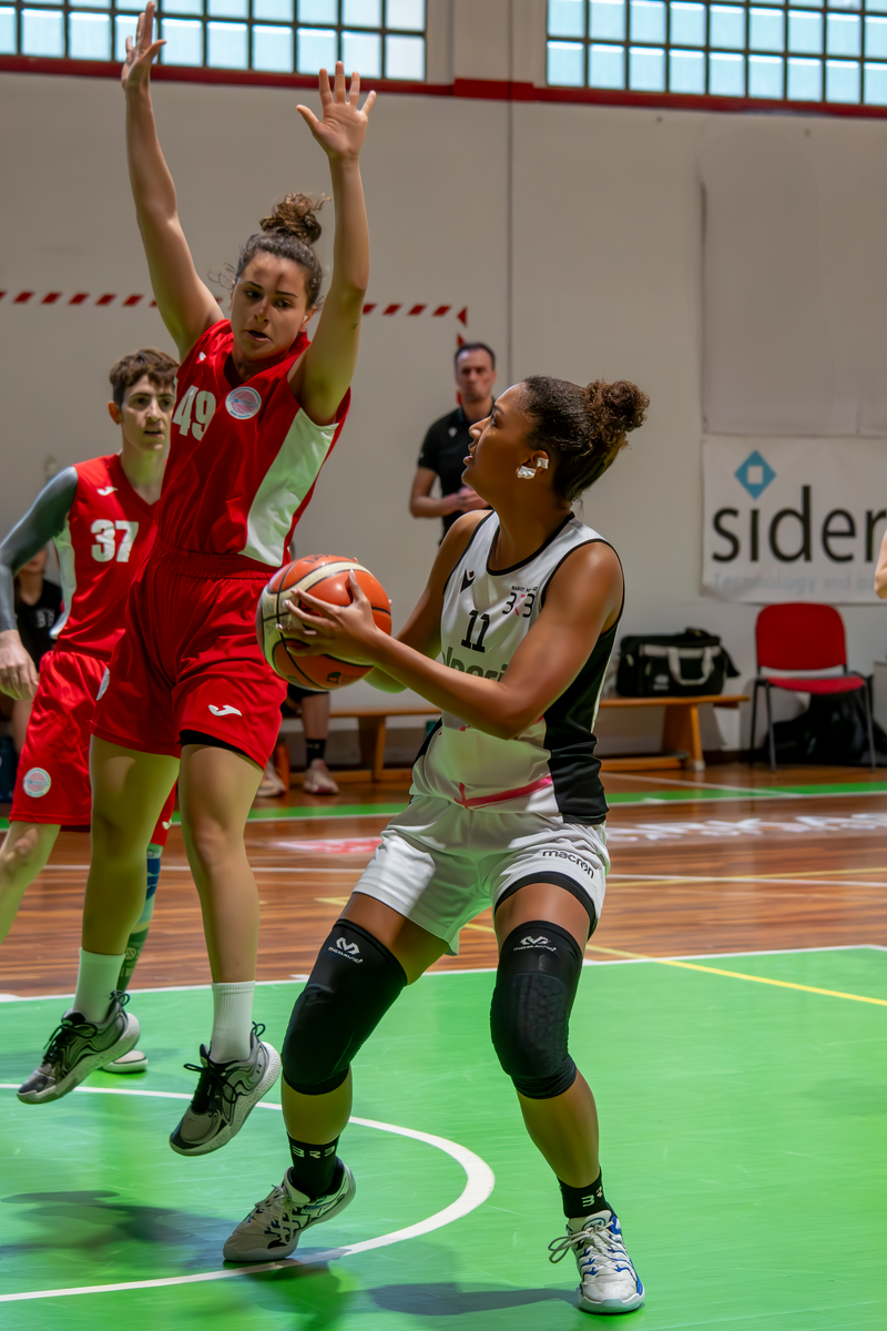 Basket - Basket Rosa Bz