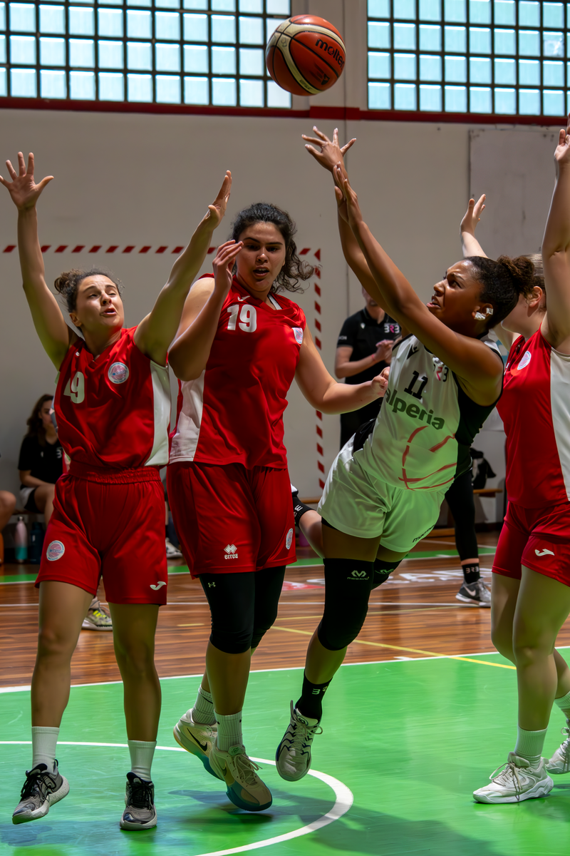 Basket - Basket Rosa Bz