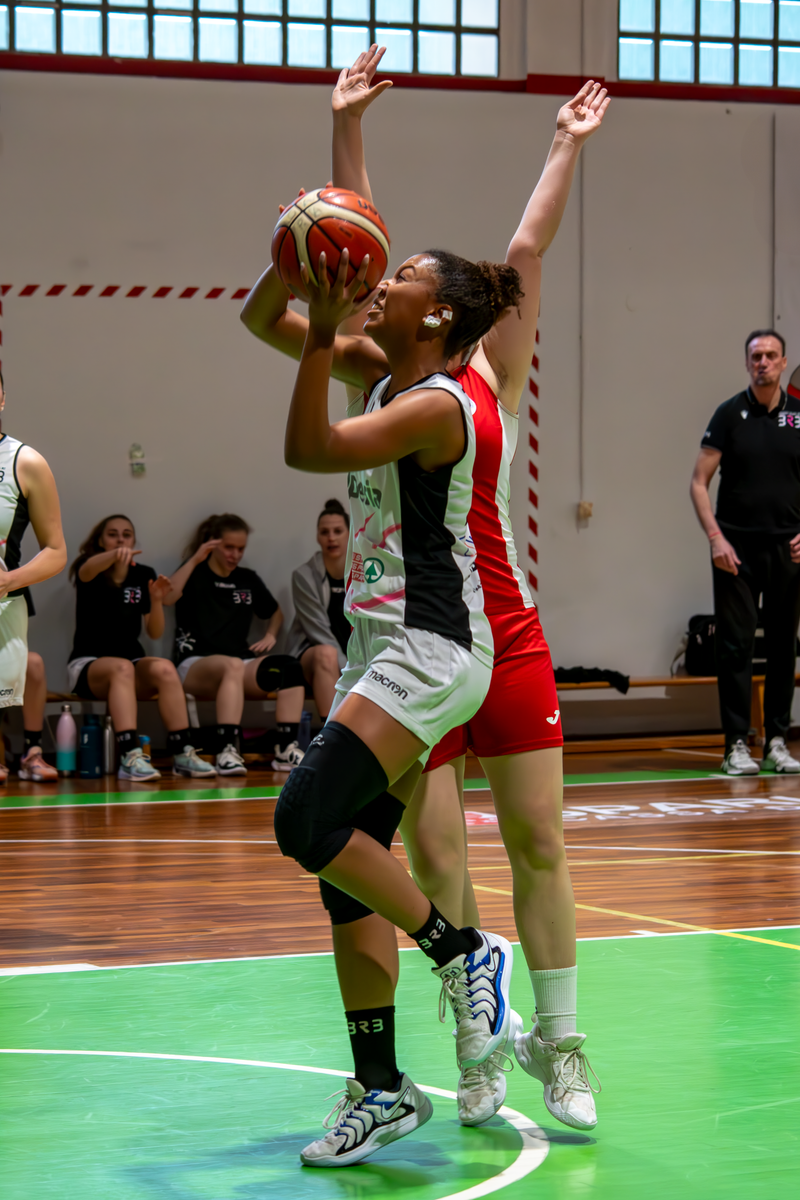 Basket - Basket Rosa Bz