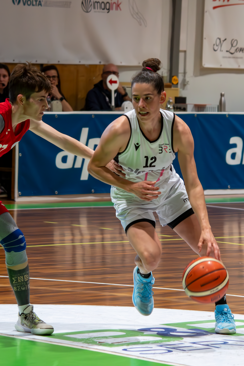 Basket - Basket Rosa Bz