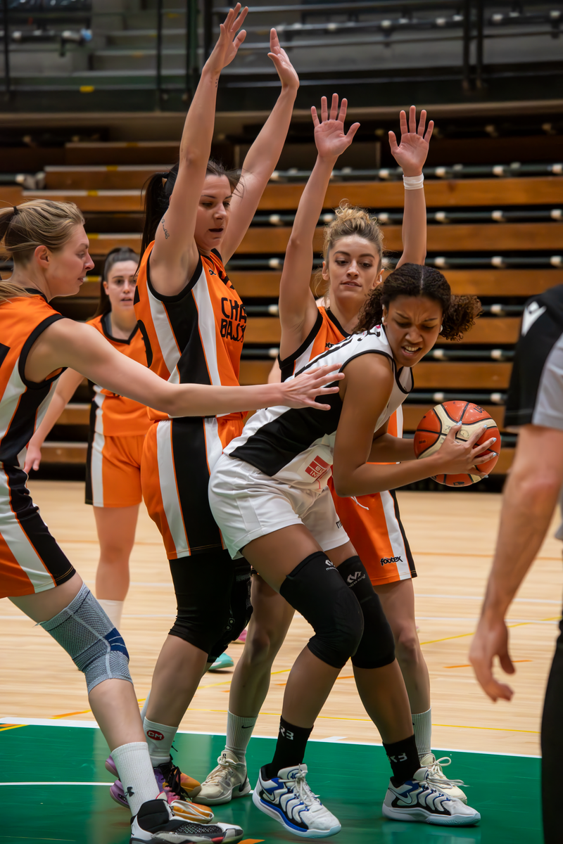 Basket - Basket Rosa Bz