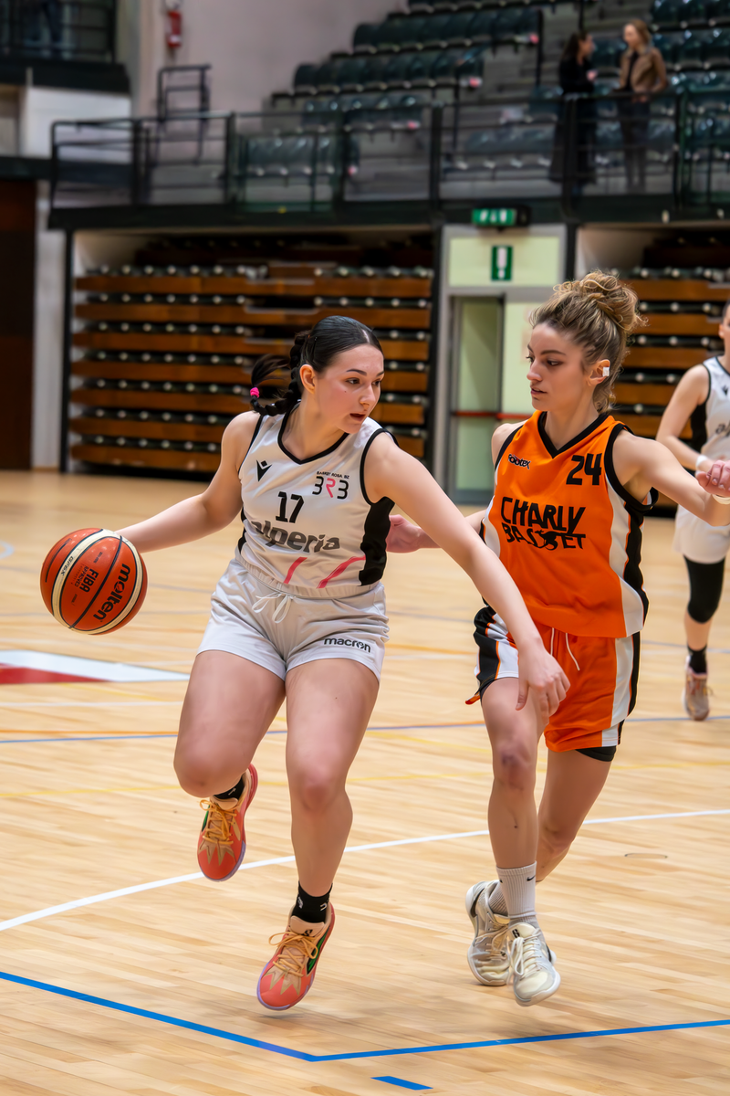 Basket - Basket Rosa Bz