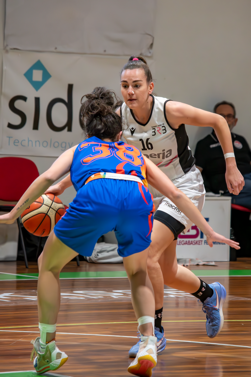 Basket - Basket Rosa Bz