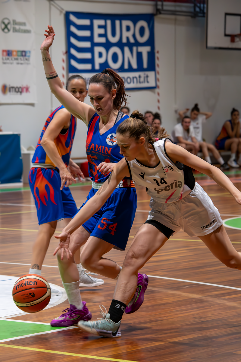 Basket - Basket Rosa Bz