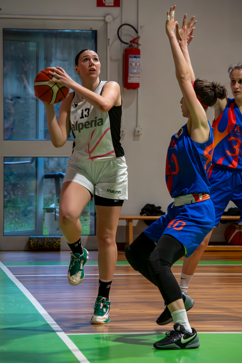 Basket - Basket Rosa Bz