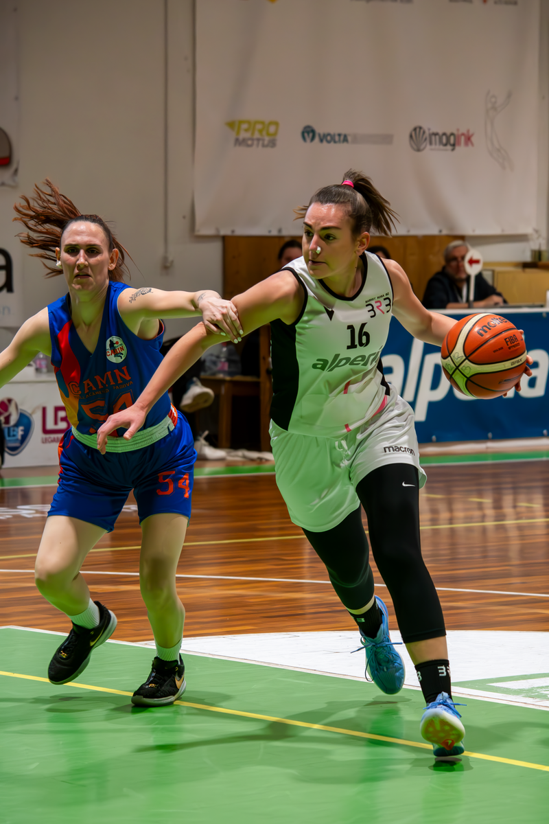 Basket - Basket Rosa Bz