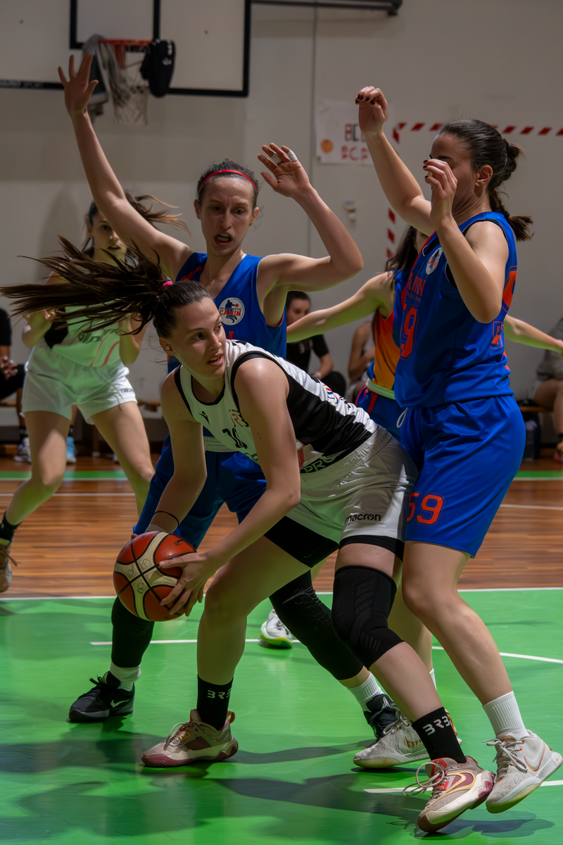 Basket - Basket Rosa Bz