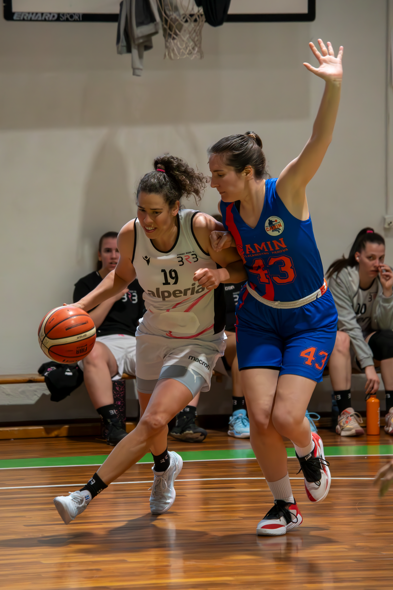 Basket - Basket Rosa Bz