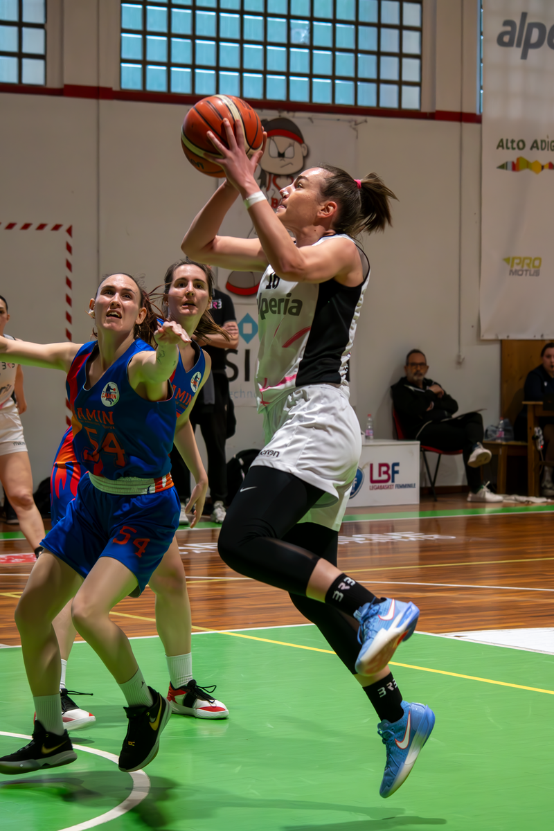 Basket - Basket Rosa Bz