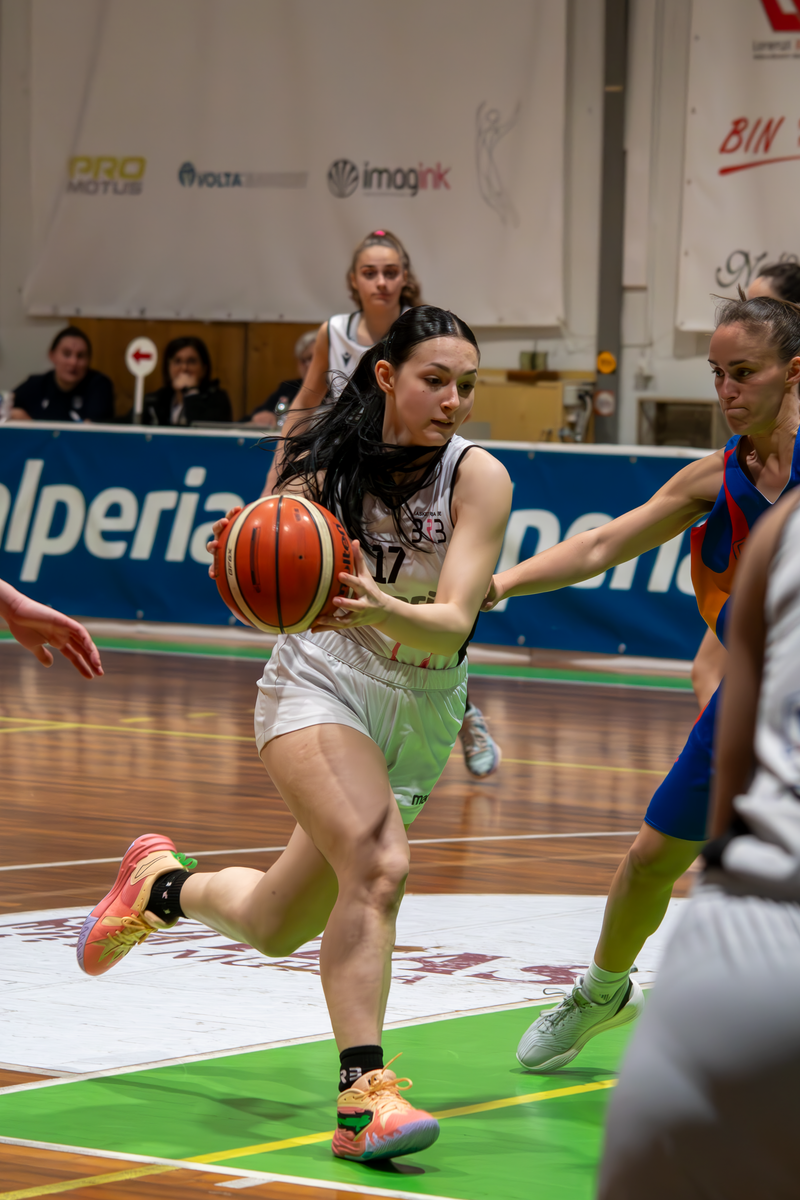 Basket - Basket Rosa Bz