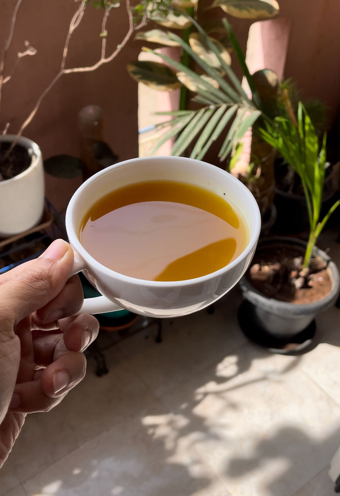 Golden Tea Recipe: Your Go-To Remedy for Cough, Cold, and Sore Throat 🌿☕