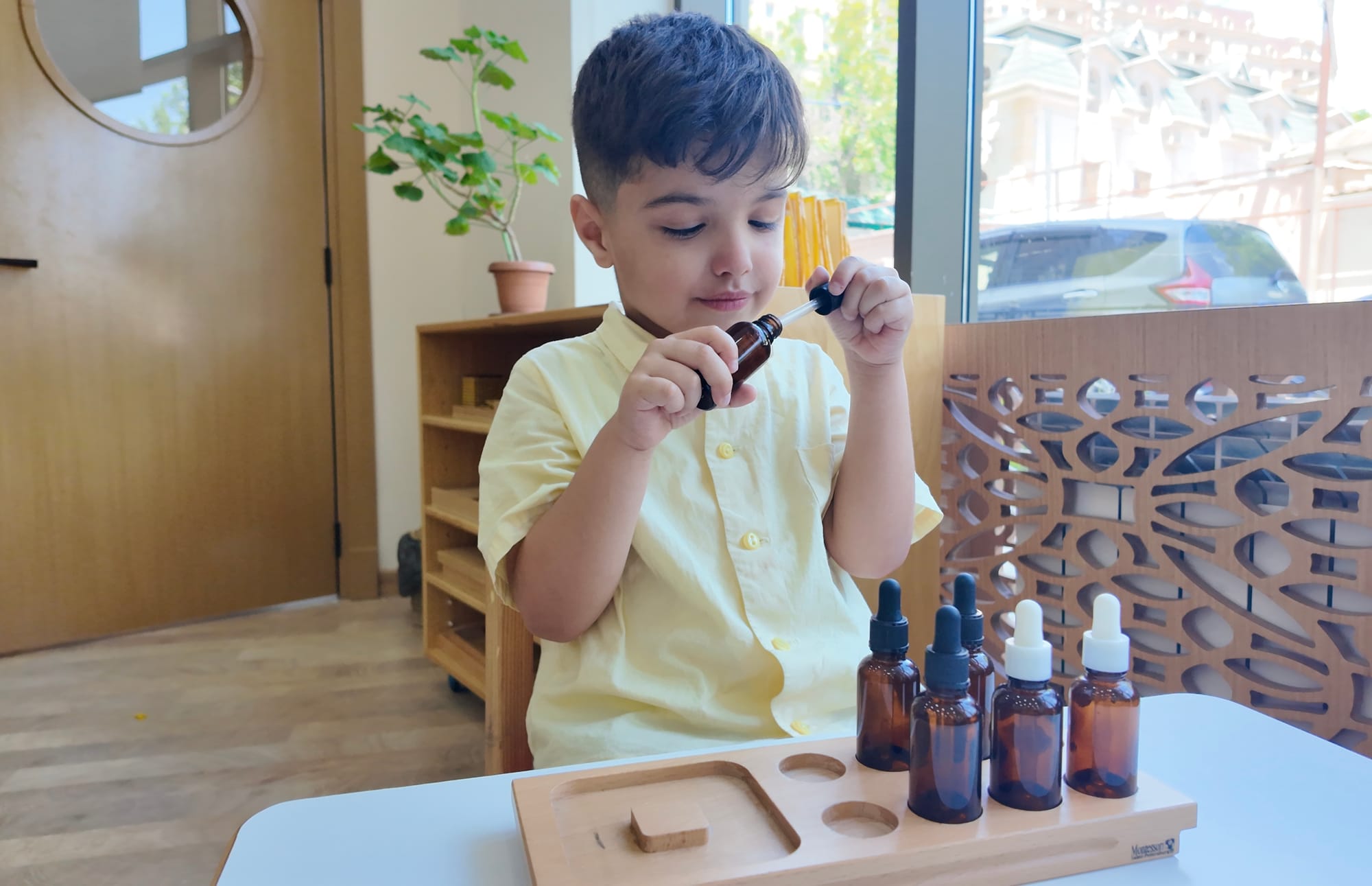 The International Montessori Center