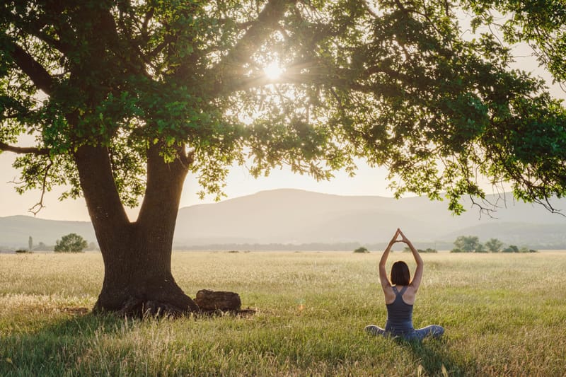 Berufsbegleitende 2-jährige Yogalehrerausbildung