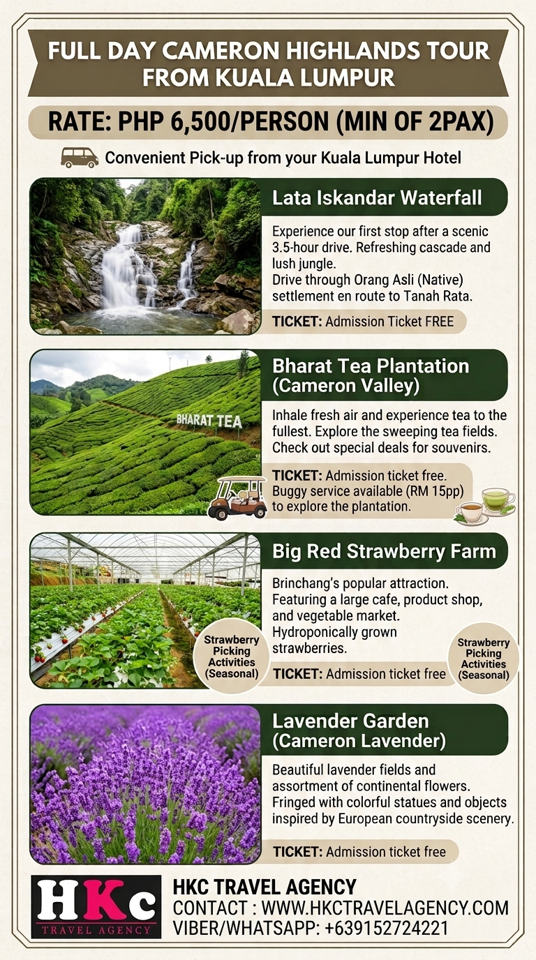 Optional Tours from Kuala