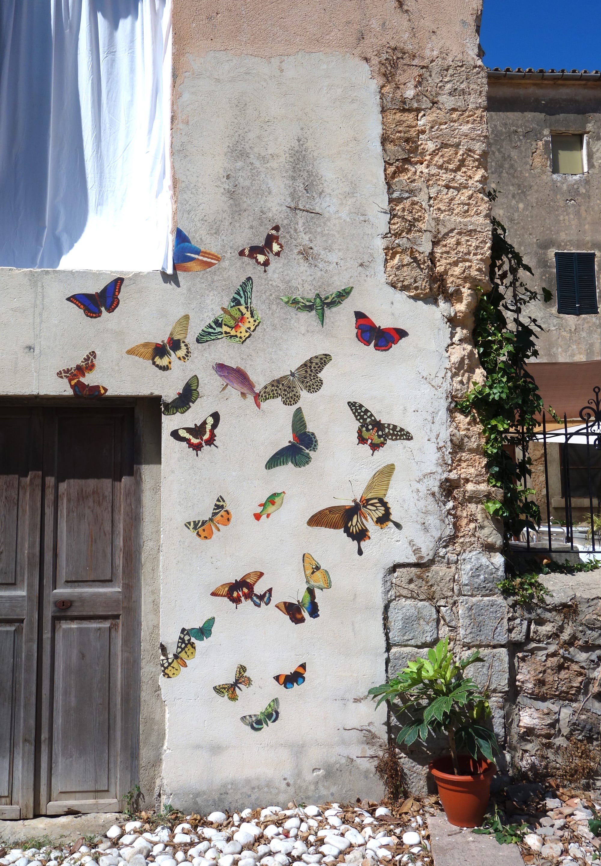 Carrer Llorenç Moya 7