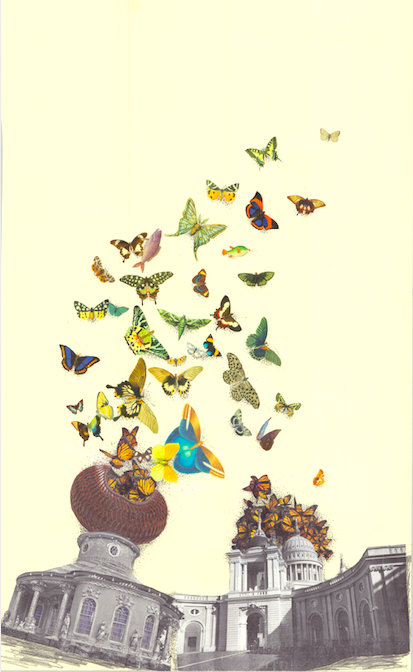 Flight of Butterflies 