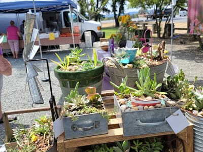 ABOUT OUR DONATIONS image