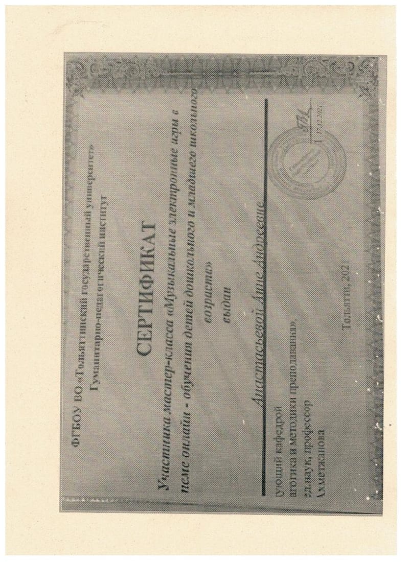Участие в конференциях