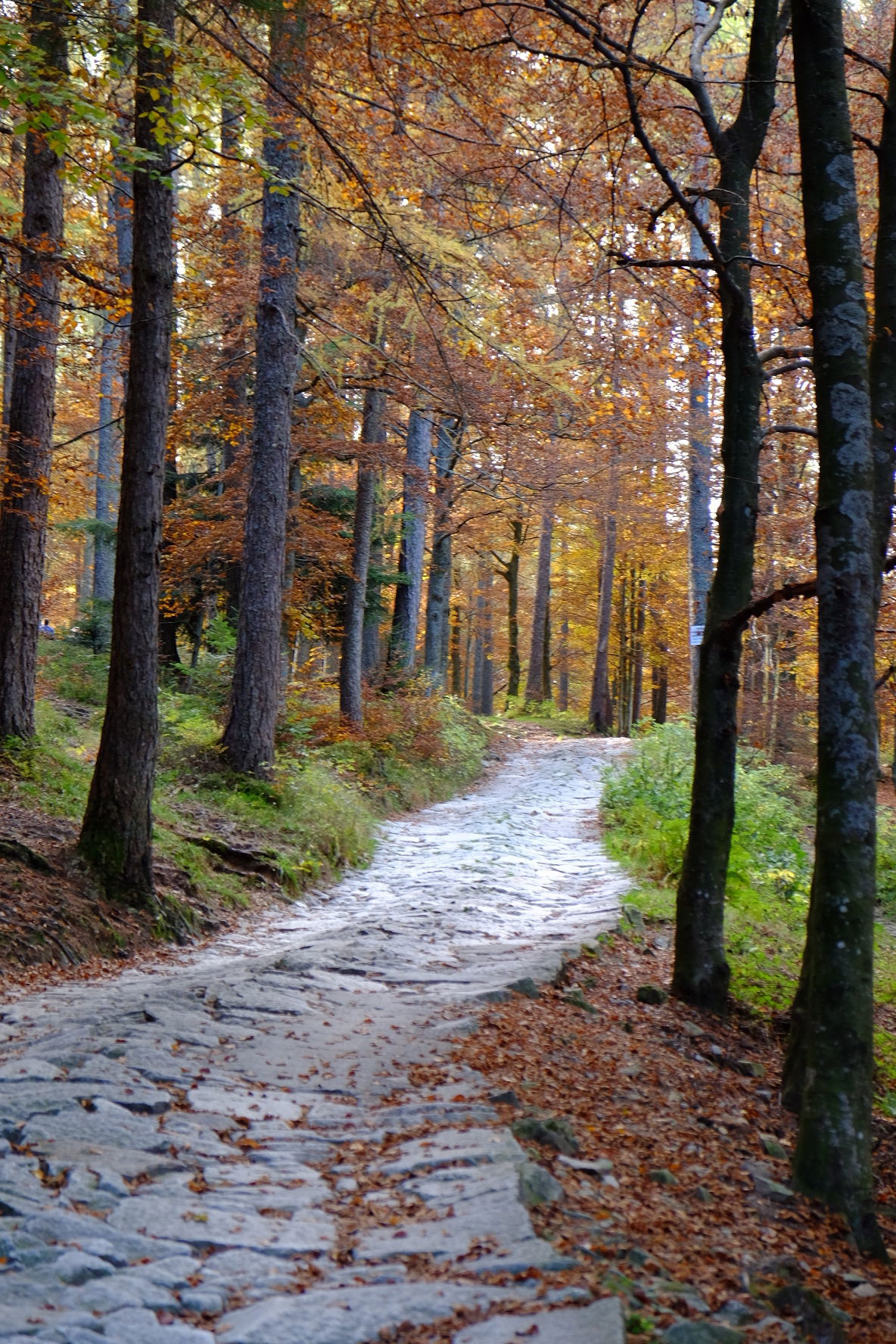 Il sentiero per il paradiso
