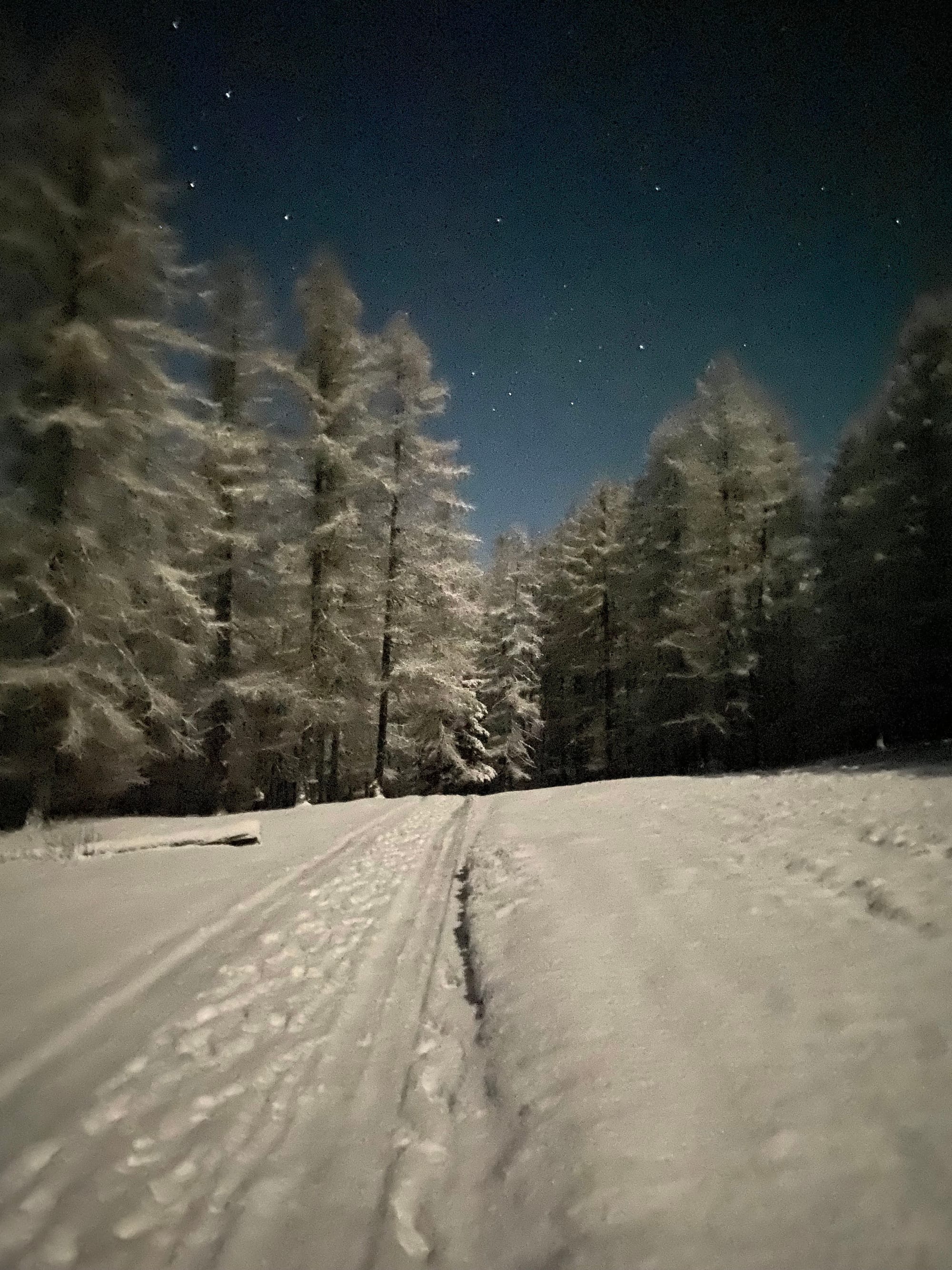 Capodanno