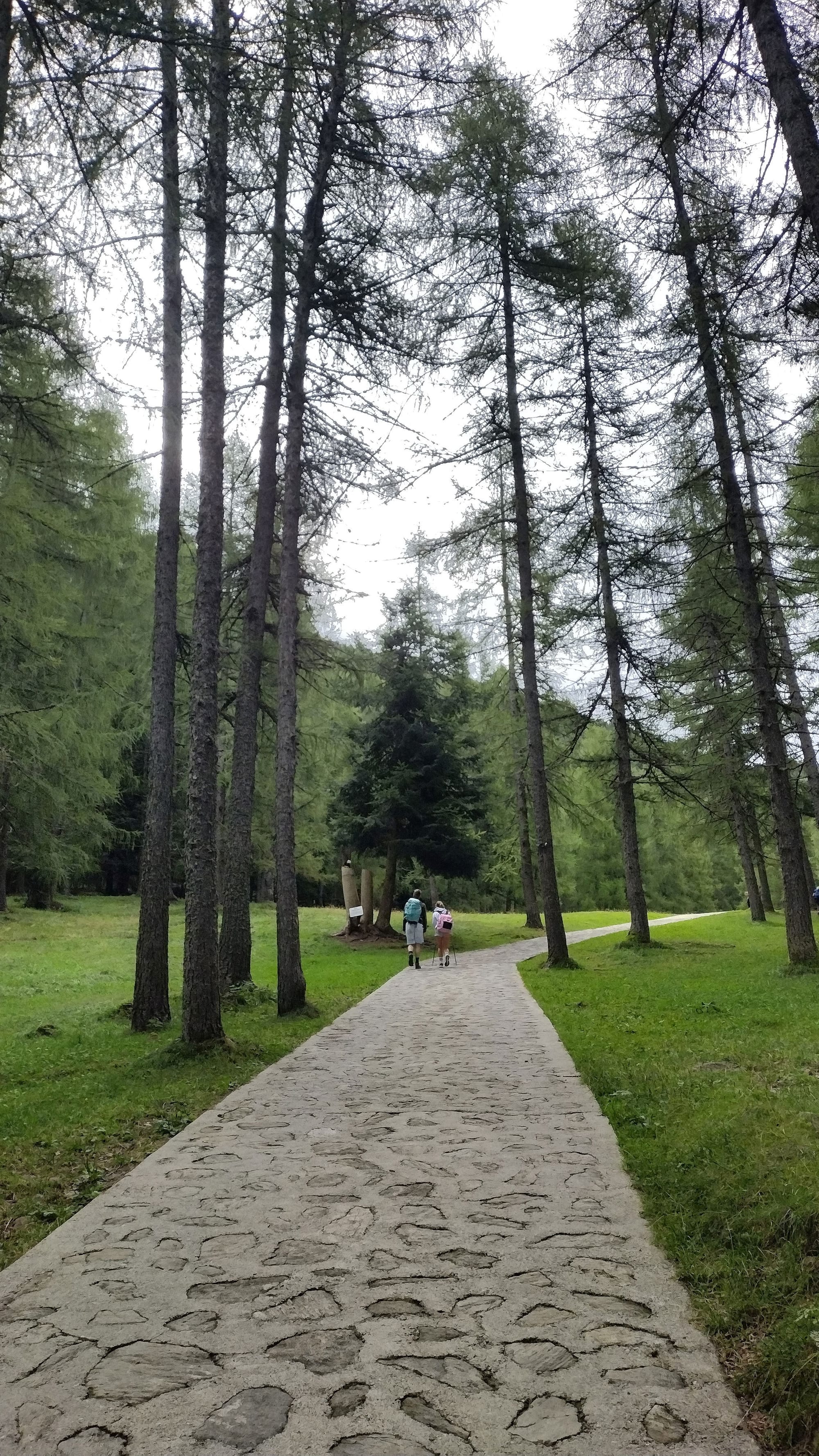 Camminare