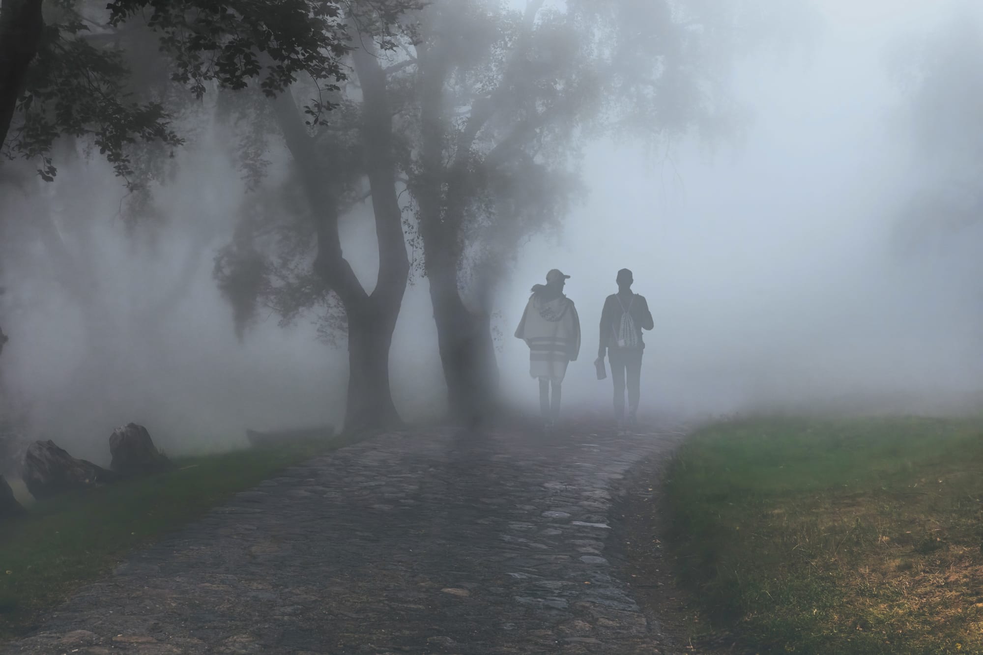 Una giornata nebbiosa