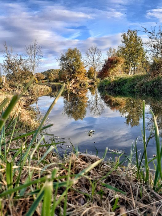 Pêche du bord : Brochet de rivière