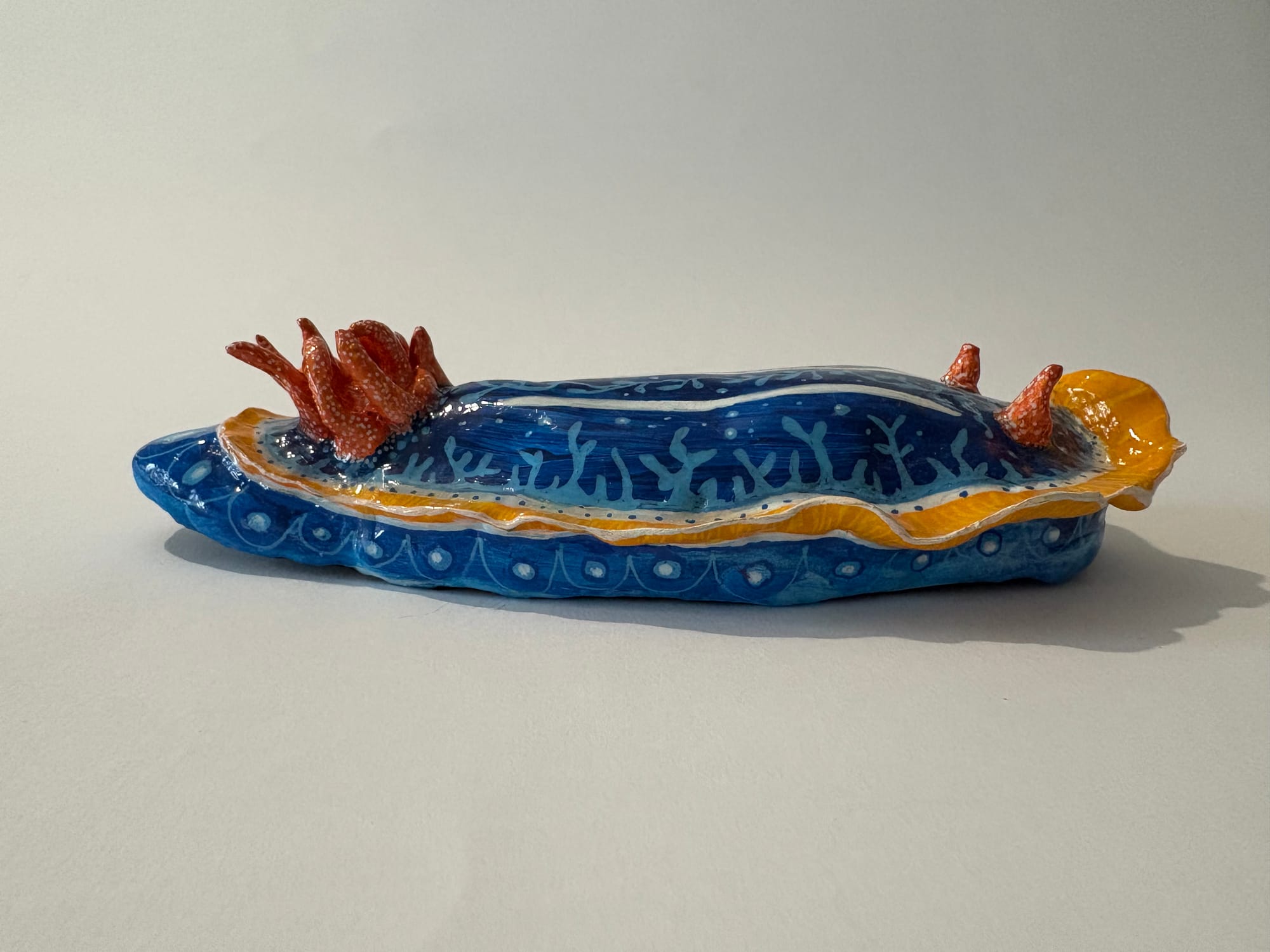 Nudibranche Doris aquaticus